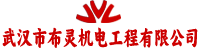 武汉市布灵机电工程有限公司